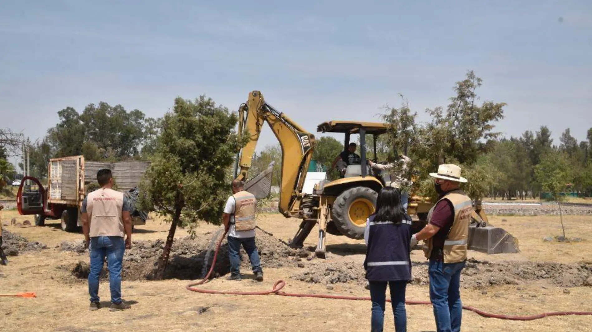 REALIZAN TRANSPLANTE DE ARBOLES AL ECOPARQUE  (2)